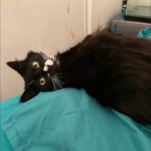 Meet your Posher, Kellie